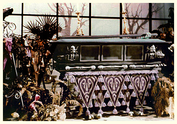 Disneyland Haunted Mansion coffin